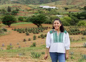 Graciela y los agaves protegidos por el proyecto LAM.