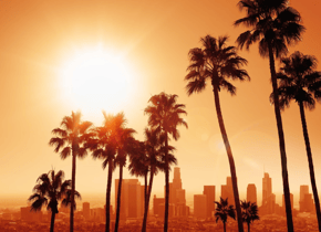 La buena vida de California: gastronomía y bienestar