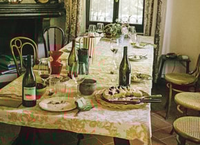 Regiones vinícolas perfectas para visitar ahora mismo