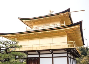 Novedades, costumbres y viejos conocidos sorprendieron a amigos y colaboradores que acaban de regresar a Japón.