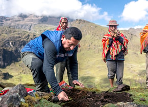 Laureado de los Premios Rolex a la Iniciativa 2023, Constantino Aucca Chutas, en un día de reforestación cerca de Quishuarani, Perú, donde la comunidad local plantó alrededor de 25.000 árboles en tres horas. Foto: © Rolex/Sofia Lopez Mañan.