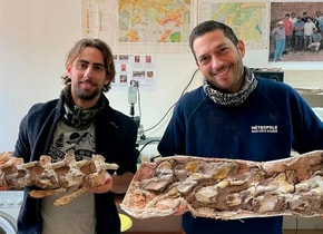 Investigadores chinos descubrieron un fósil de un dragón