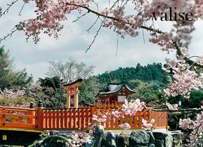 The List: souvenirs para traer de regreso de Osaka