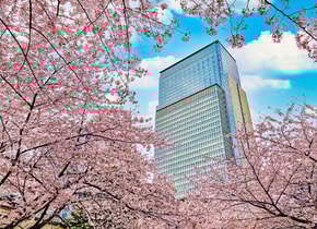 Mandarin Oriental está ubicado en pleno centro financiero de Tokio.