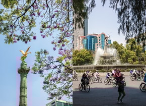 Los domingos, cierran Reforma para ciclistas y peatones. Puedes llegar desde Polanco hasta Bellas Artes en el recorrido. (Fotos: Andrew Reiner).
