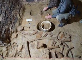 Un hombre encontró huesos de mamut en su cava