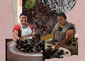 ¿Cuántos moles hay en Oaxaca?