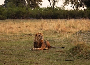 Botswana: donde la naturaleza manda