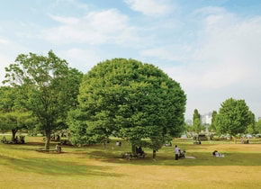 Yeouido Hangang Park, situado en el distrito financiero de Seúl.