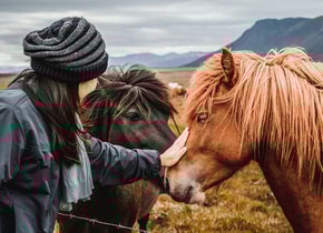 Los países más seguros del mundo en 2025