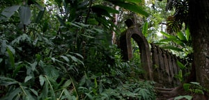 Un paraíso surrealista en la Huasteca Potosina