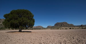 Experiencias naturales en Zacatecas