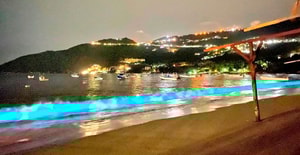 acapulco bioluminiscencia