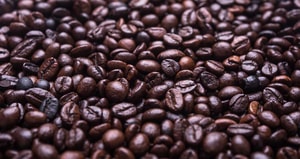 Cafetales en México