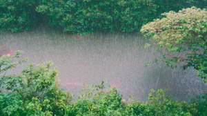 temporada de lluvias