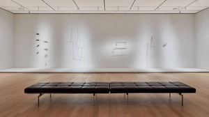 moma