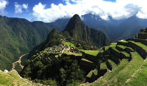 árboles en Machu Picchu