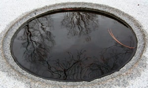 wabi sabi