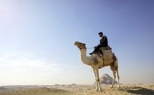 Saqqara Egipto