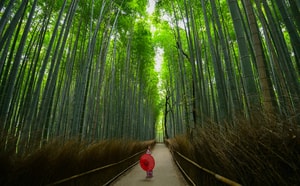 costumbres-japonesas