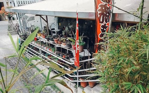 japanese restaurants in mexico city