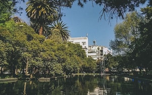 parque-lincoln-arboles-polanco