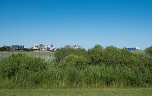 Sagaponack beach, Bridgehampton, New York, USA