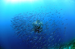 Viajes submarinos