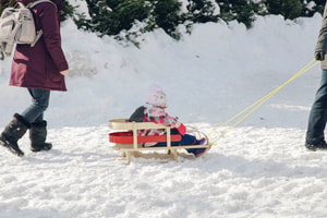 Festival Winterlude
