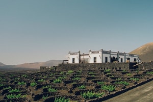 Bodegas vitivinícolas de belleza insólita