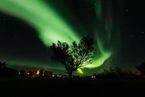 auroras boreales en islandia