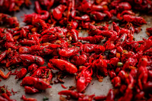Festival de la Paella