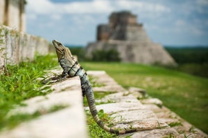Yucatán