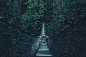 Capilano Bridge