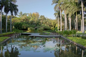 Foto: cortesía Jardín Botánico de Culiacán