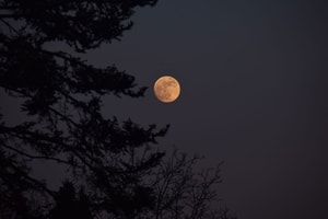lunas de octubre