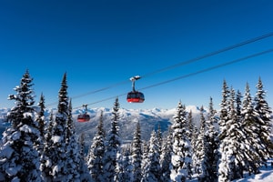 Whistler