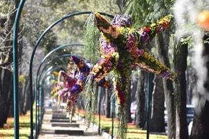 Piñatas florales en Reforma