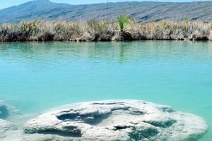 Cuatrociénegas, Coahuila