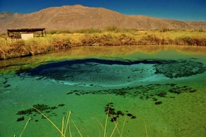 Cuatrociénegas, Coahuila