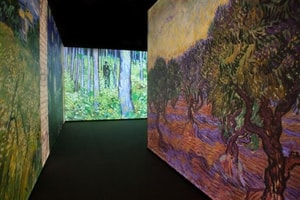 portada van gogh