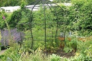 Jardín botánico de plantas venenosas en Inglaterra