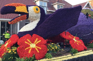 Desfile de flores en Holanda