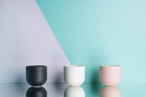 design stores mexico city