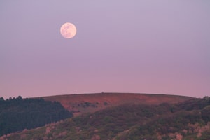 ver-la-luna-de-fresa-en-junio