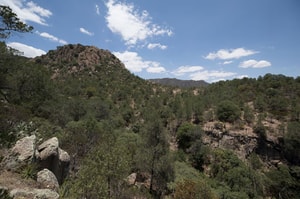 Experiencias naturales en Zacatecas