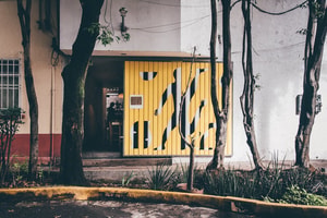 masala y maíz exterior