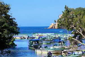 colomitos en bahía de banderas