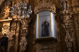 pinos-zacatecas