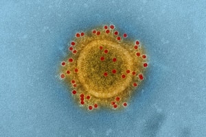 coronavirus MERS